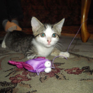 Meet your Posher, Doreen